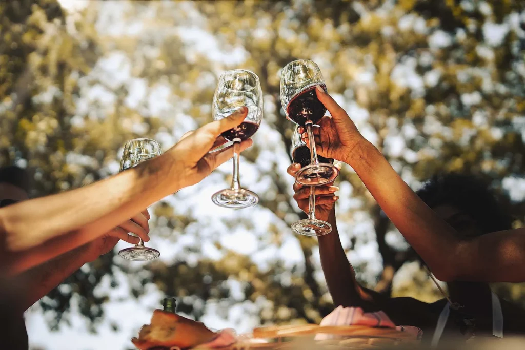 Amigos brindando con vino artesanal al aire libre